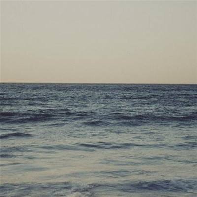 B体育APP官网下载